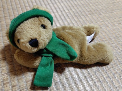 Bechstein orso peluche