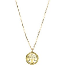Collana Oro 375 (9kt) Con