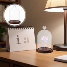  Vetrina in vetro cupola per