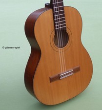 Chitarra da concerto vintage