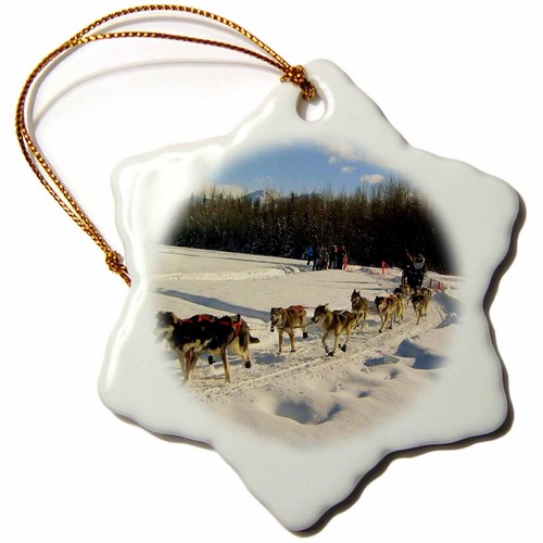 3drose iditarod slitta cane - 3drose,