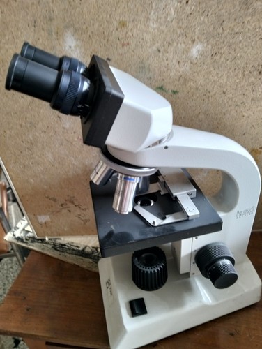 Microscopio binoculare hund - microscopio,