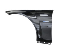 Parafango Sx anteriore