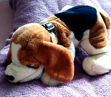 Chiglia Giocattoli Più Grande