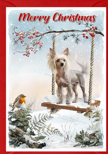 Biglietto natale cinese - biglietto,