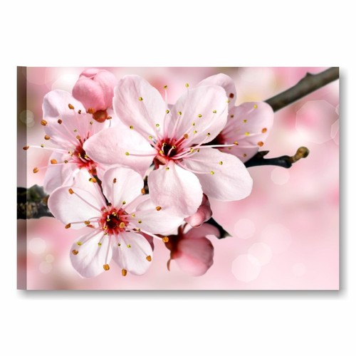 Fiori pesco quadro - di, 7