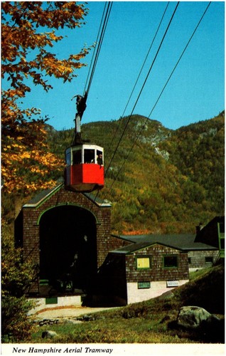 Cartolina cromata new - cartolina,