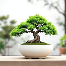 🌿 Vaso per bonsai stampato in 3D – su misura, moderno e personalizzabile