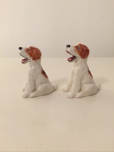 Cani alti pollici - cani,
