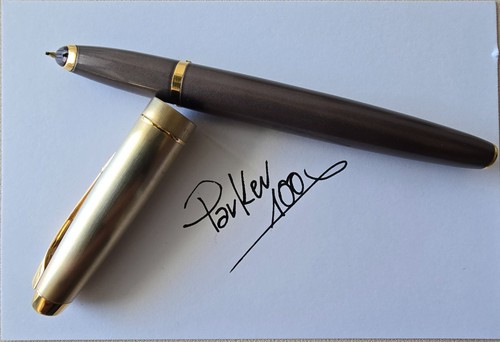 Stilografica parker 100 - parker,