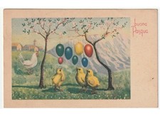 1953 A. Bassi campagna pulcini uova colorate gallina cartolina Buona Pasqua