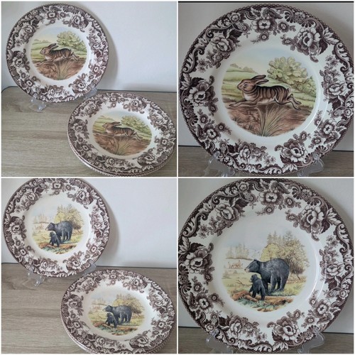 Spode woodland orso lepre - orso,