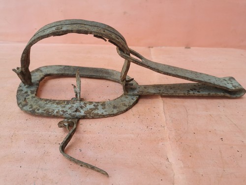 Antica rarissima vecchia - rarissima,