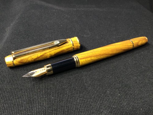 Penna stilografica iridium - penna,
