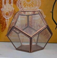 Scatola porta terrario vetro e