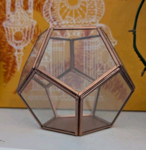 Scatola porta terrario - , e