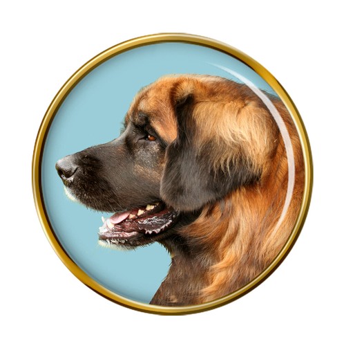 Leonberger cane distintivo - leonberger,
