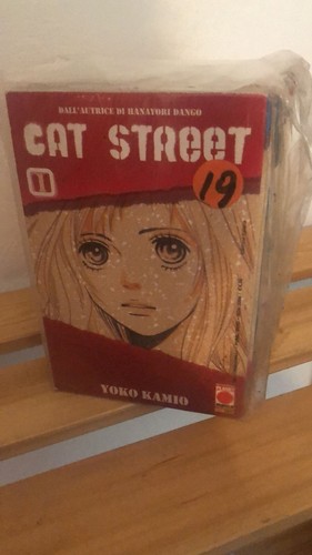 Cat street completa - street,