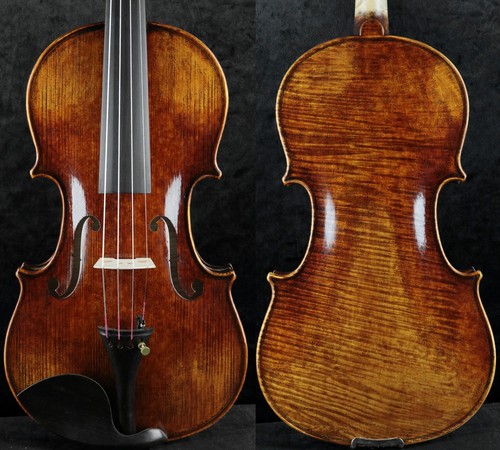 Amazing master violino - amazing,