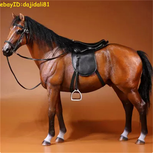 6 warmblood simulazione - 1/6,