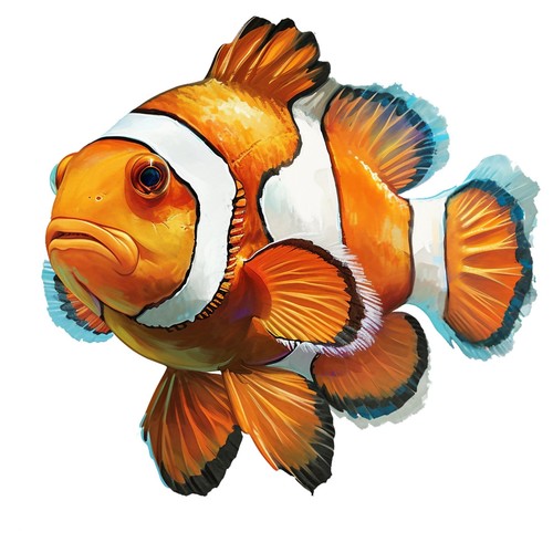 Adesivi pesce pagliaccio - 3,