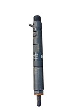 Iniettore diesel 166000897r - diesel,