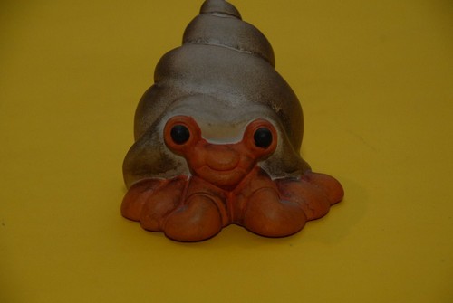 Thun paguro animali marini - paguro,