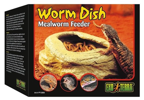 Exo terra wormdish - terra, contenitore