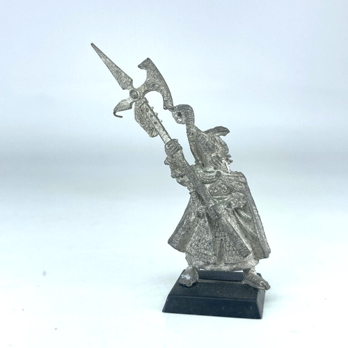 High elf phoenix guard - high,