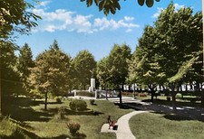 Cartolina Orzinuovi Brescia viaggiata