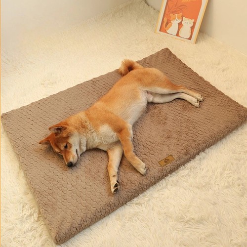 Cuccia per animali domestici - cuccia,
