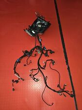 IMPIANTO ELETTRICO DUCATI MULTISTRADA 1260 S Pikes Peak