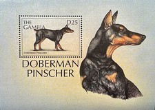 GAMBIA CANI DEL MONDO