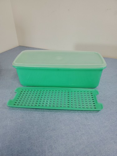 Tupperware sedano custode 782 - custode,
