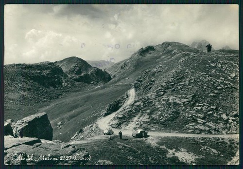 Cuneo marmora colle del - del, mulo