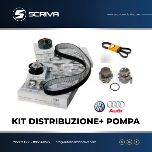 Kit distribuzione pompa - wv.,