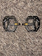 Coppia pedali bici piatta