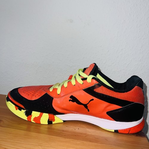 Puma libero - puma,