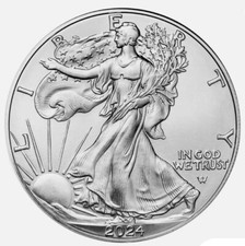 Moneta D'Argento Americana