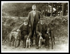 LURCHER GREYHOUND MEN DOGS