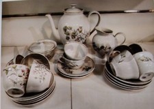 GINORI DOCCIA PRIMAVERA GIÒ PONTI SERVIZIO CAFFÈ COMPLETO PER 10 PERSONE BOTANIC