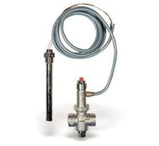 WATTS Valvola di scarico termico a doppia sicurezza da 3/4 Valvola di sicurezza