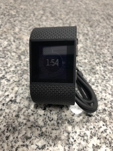 Fitbit surge fb501 activity - surge,