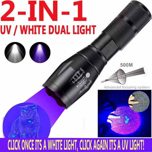 Rilevatore luce nera - luce,