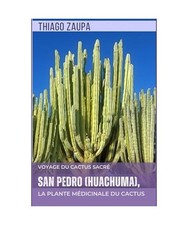 San Pedro [Huachuma], la