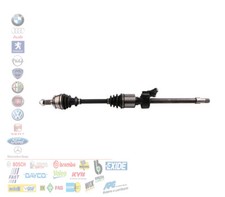 SEMIASSE SEMI ALBERO ANTERIORE