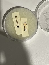 Autentico NOS Tudor Submariner