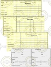 Scheda ufficiale armi 4a categoria aria compressa e softair + spedizione grat...