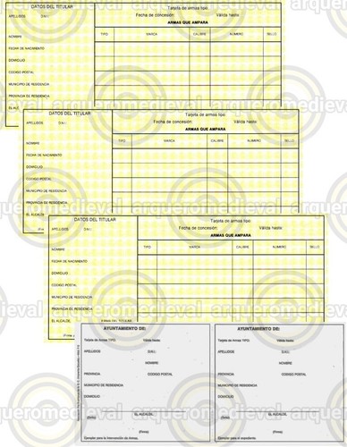 Scheda ufficiale armi - , 4a