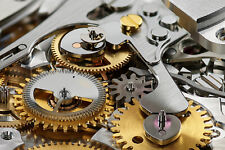 ROLEX 4130 ORIGINAL SPARE PARTS FORNITURE ORIGINALI PARTI DI RICAMBIO DAYTONA